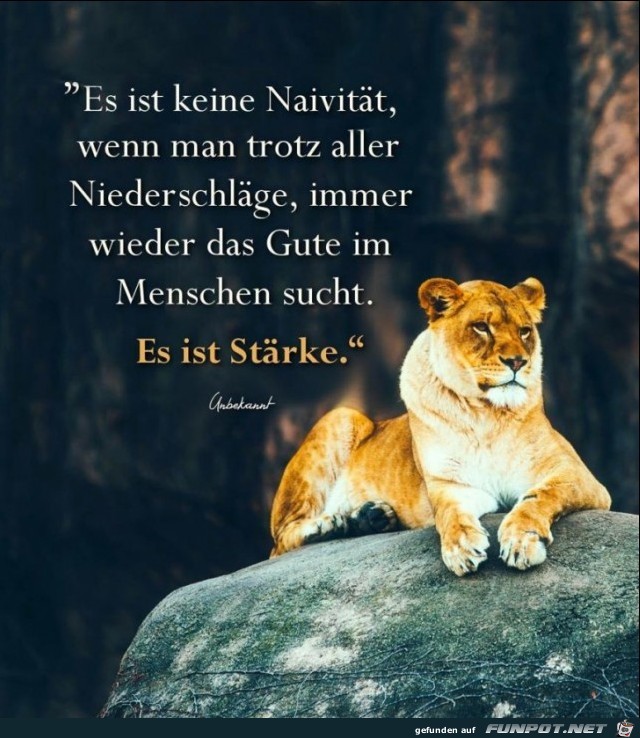 es ist keine naivitaet