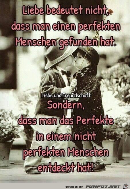 liebe bedeutet nicht