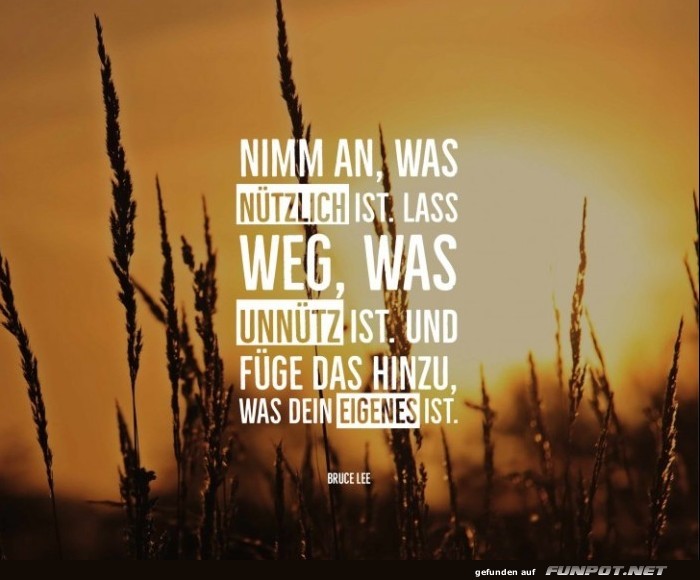 10 schne Sprche und Lebensweisheiten aus...