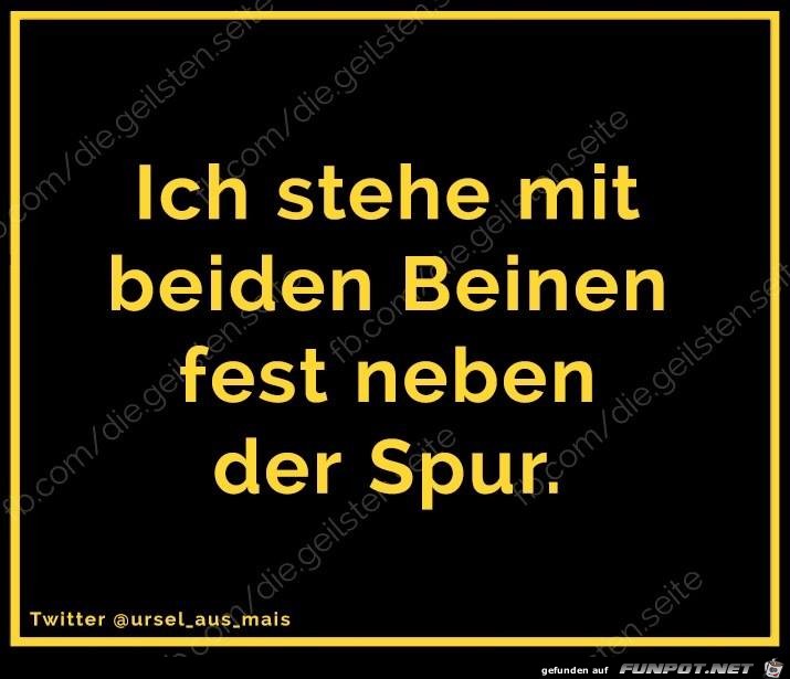 stehen stehen