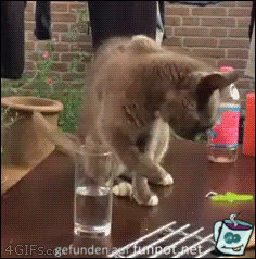Halt, ich war noch nicht fertig Halt, ich war noch nicht fertig
