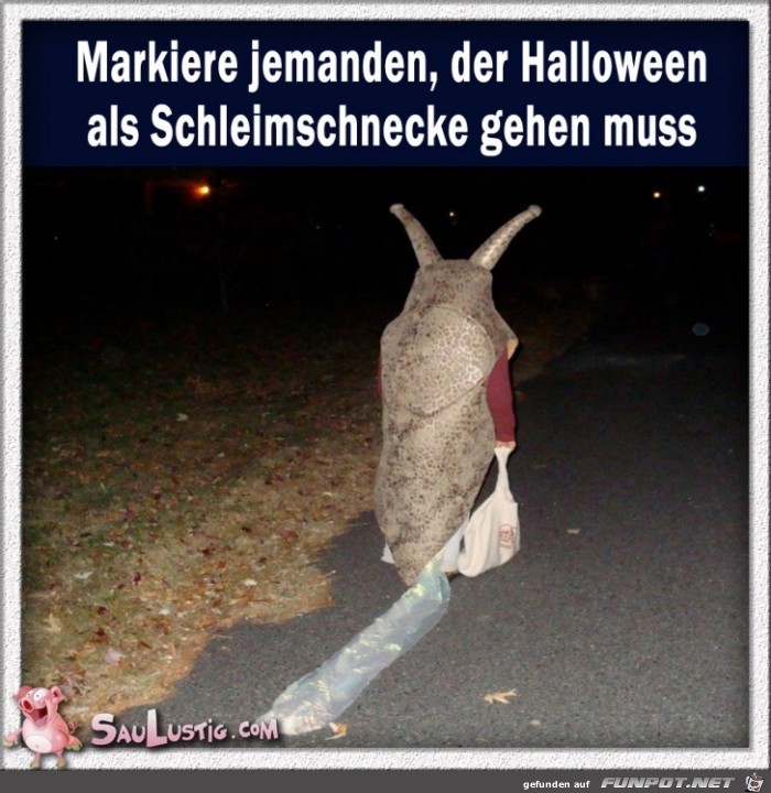 Schleimschnecke Schleimschnecke