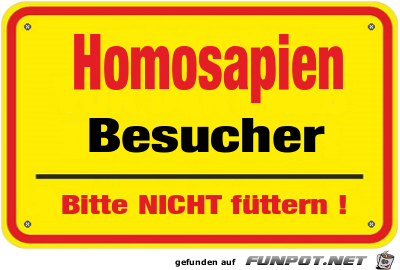 SCHILD - Homosapien