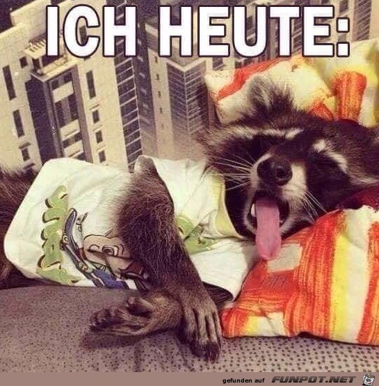 Ich bin kaputt Ich bin kaputt