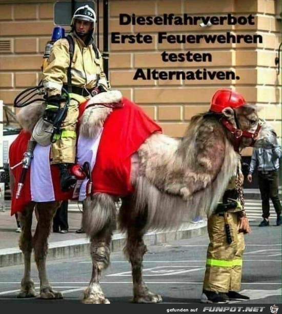 Alternativen Alternativen