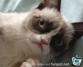 Grinse-Katze Grinse-Katze