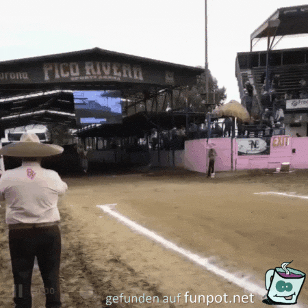 Rodeo Cowboy Rodeo Cowboy