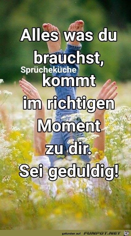 Alles was du brauchst Alles was du brauchst