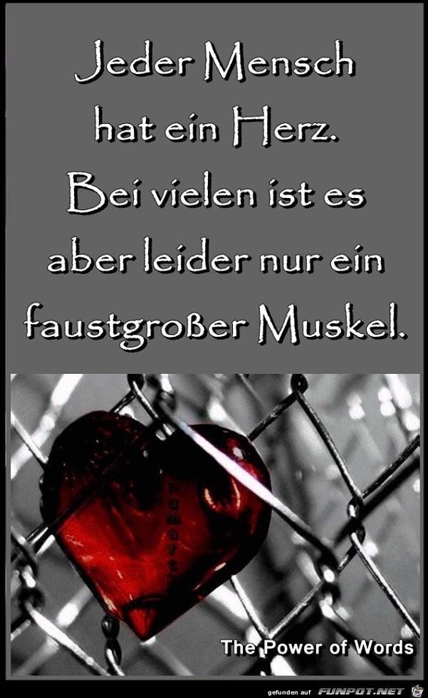Jeder Mensch hat ein Herz Jeder Mensch hat ein Herz