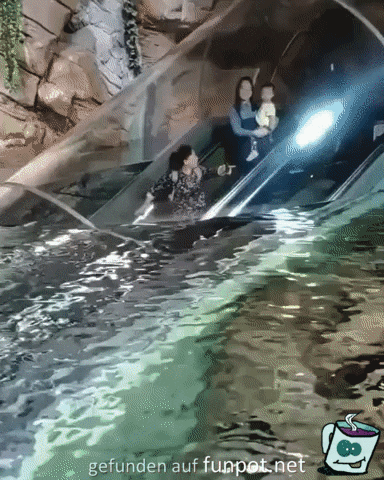 Rolltreppe in Unterwasserwelt