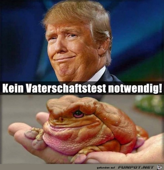 Kommt hin Kommt hin