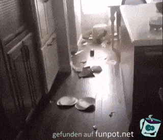 Wo ist der Täter? Wo ist der Täter?