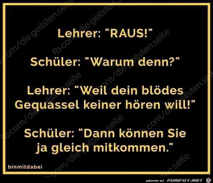 Lehrer Lehrer