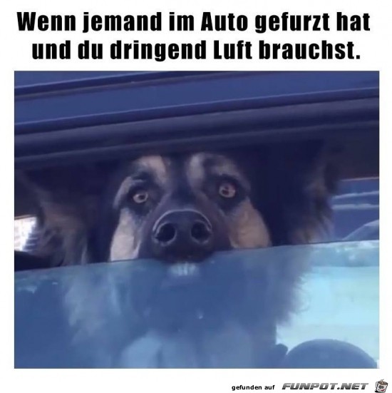 Ich brauch Luft Ich brauch Luft