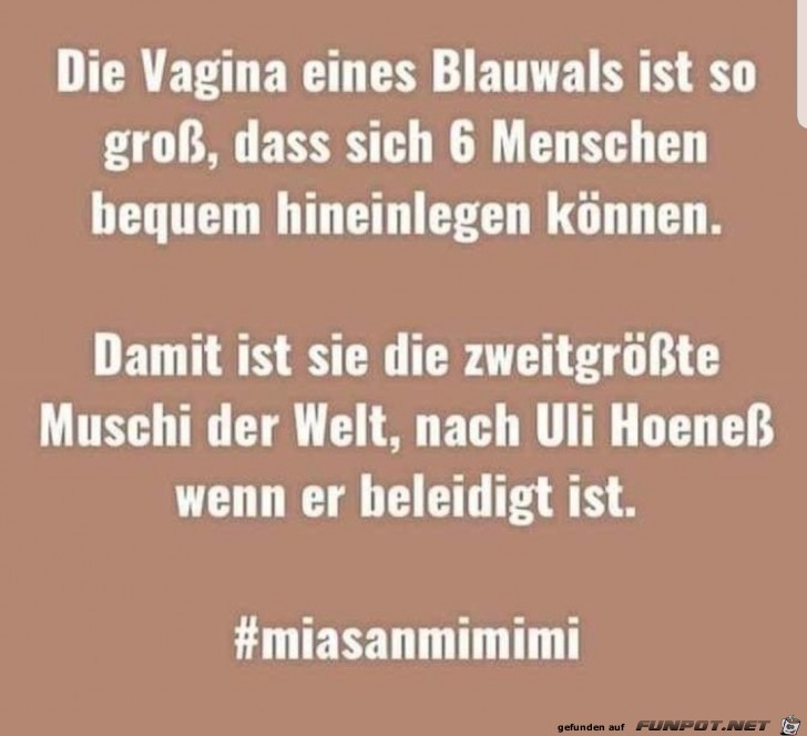 Vagina eines Blauwals Vagina eines Blauwals