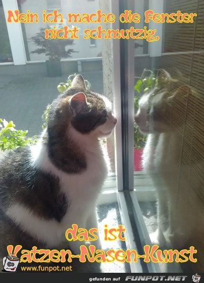 Nein ich mache die Fenster nicht schmutzig, Nein ich mache die Fenster nicht schmutzig,