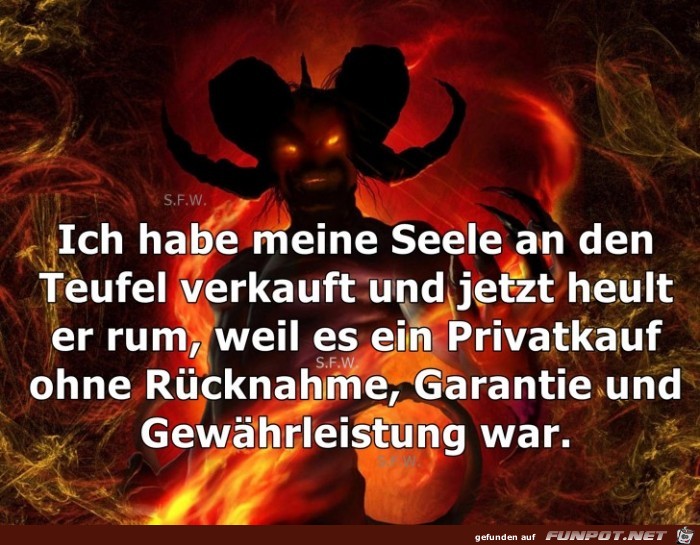 Ich habe meine Seele