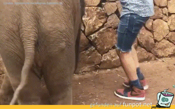 Bser Elefant