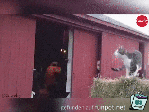 Nach meinen Berechnungen muß das gehen Nach meinen Berechnungen muß das gehen