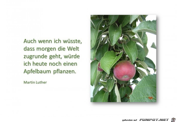 auch wenn ich wuesste auch wenn ich wuesste