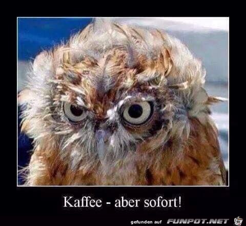 Kaffee