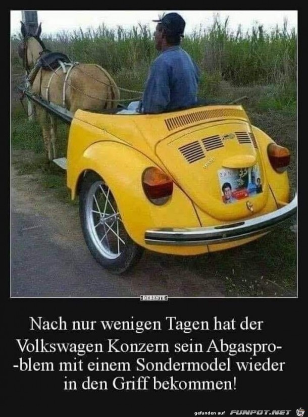 Sondermodell von VW Sondermodell von VW