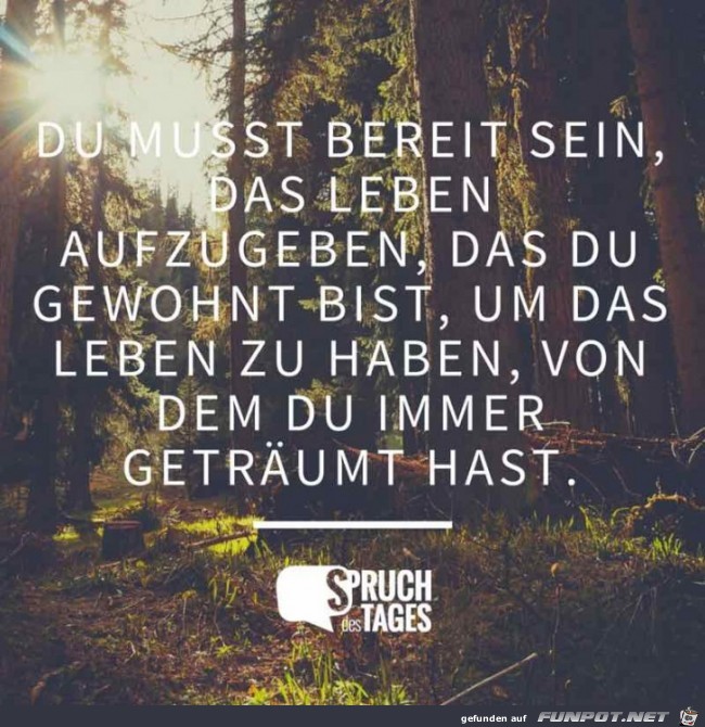 du-musst-bereit-sein-t