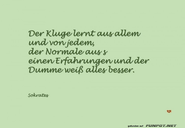 der Kluge lernt aus allem der Kluge lernt aus allem