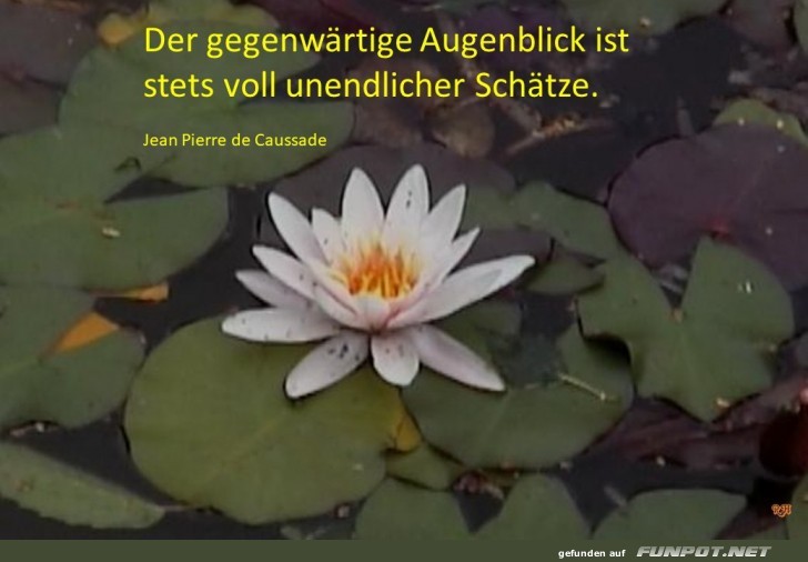 der gegenwaertige Augenblick der gegenwaertige Augenblick