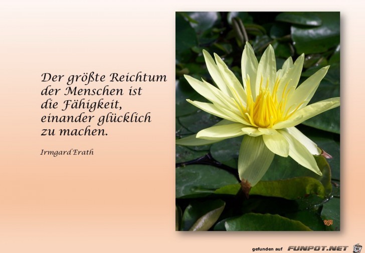 der groesste Reichtum der groesste Reichtum