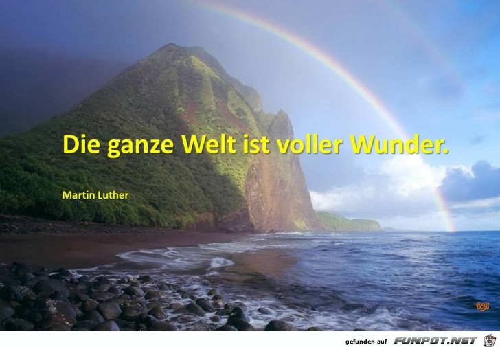 die ganze Welt die ganze Welt
