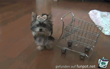 Ich kauf mein Futter selber ein Ich kauf mein Futter selber ein