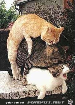 Bild91 Bild91