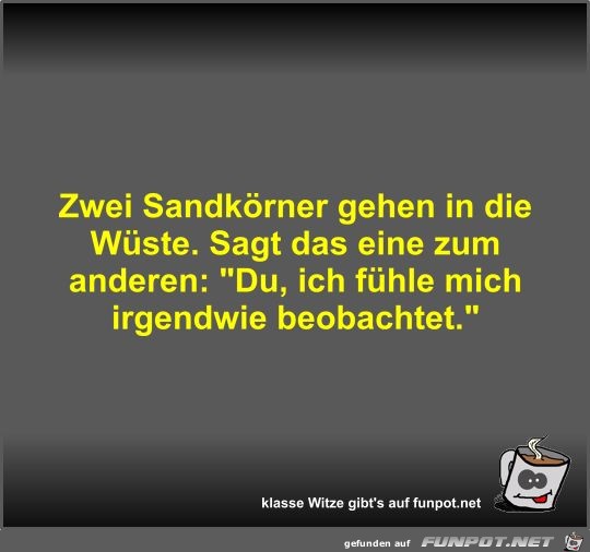 Zwei Sandkrner gehen in die Wste