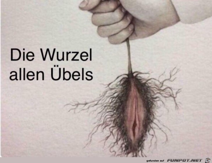 Die Wurzel