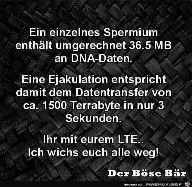Umrechnung