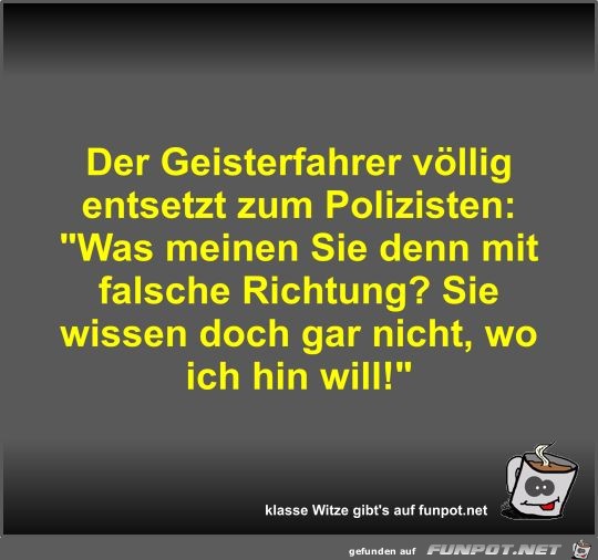 Der Geisterfahrer vllig entsetzt zum Polizisten