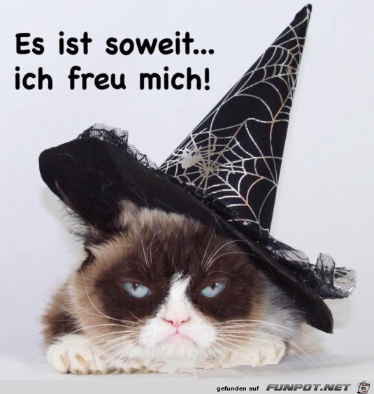 Halloween Halloween