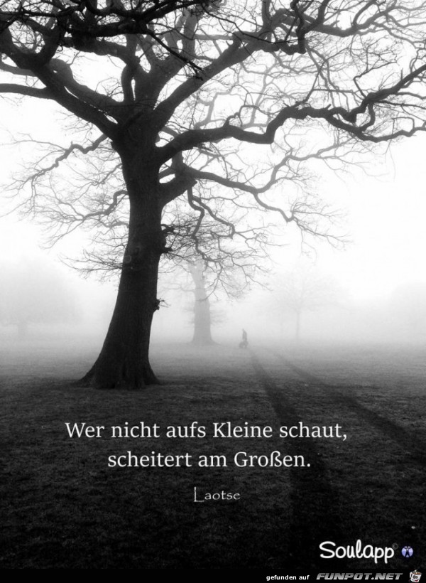 wer nicht aufs kleine schaut wer nicht aufs kleine schaut