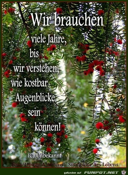 wir brauchen viele jahre wir brauchen viele jahre