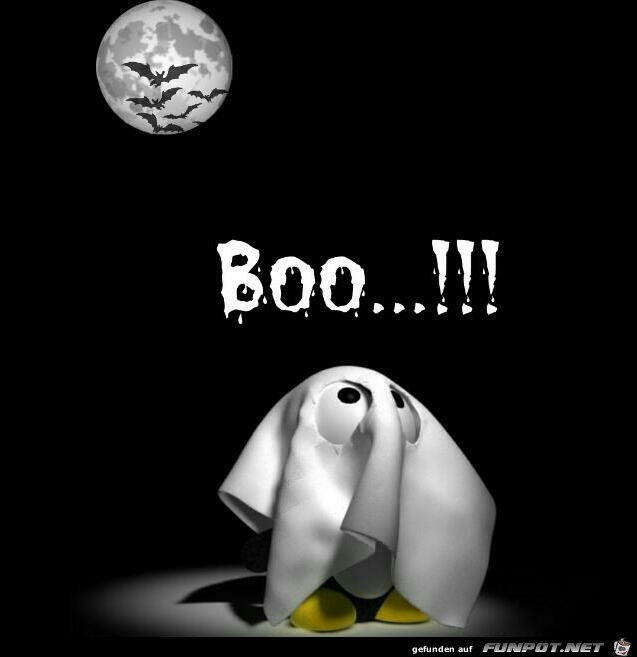 Boo Boo