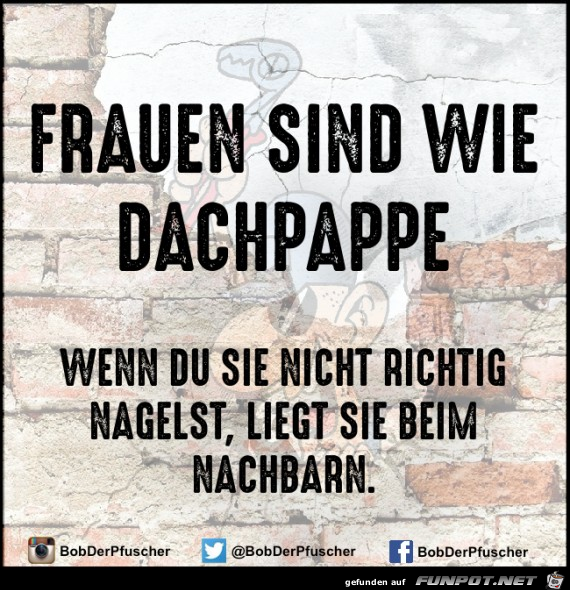 Frauen sind wie Dachpappe Frauen sind wie Dachpappe