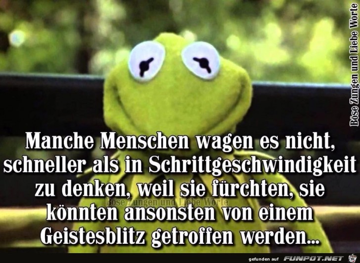 Langsam Denken
