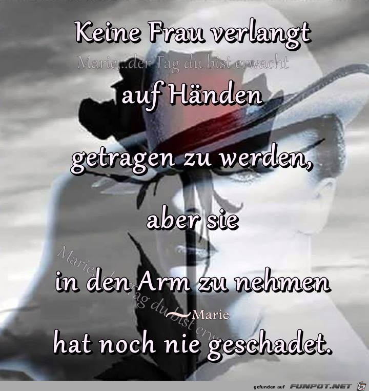 In den Arm In den Arm