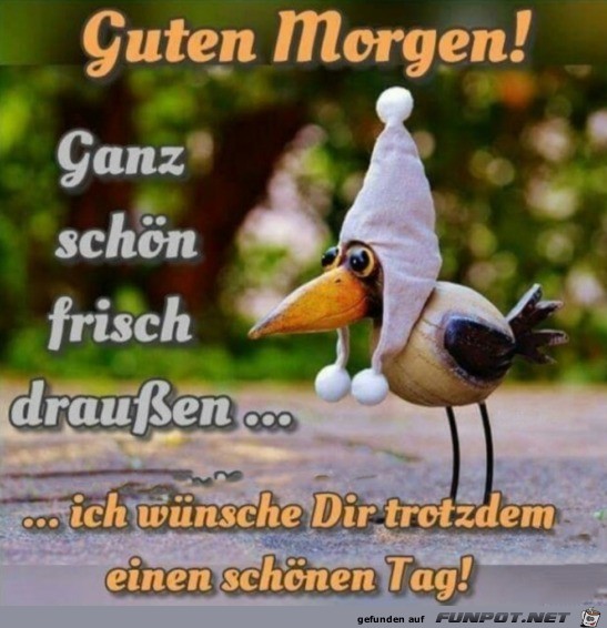 Guten Morgen