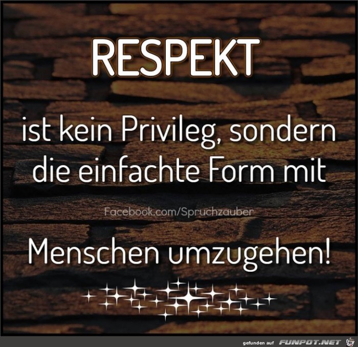 Respekt Respekt