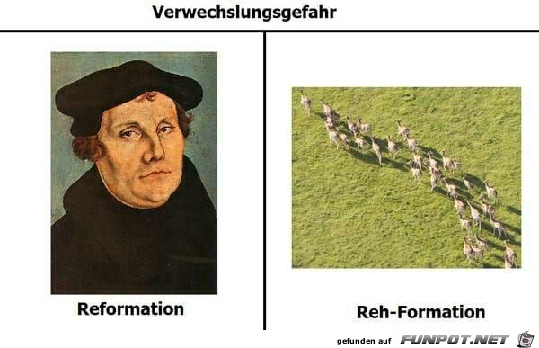 VWG - Reformation