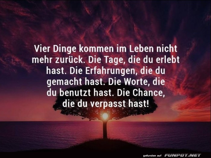 10 schne Sprche und Lebensweisheiten aus...