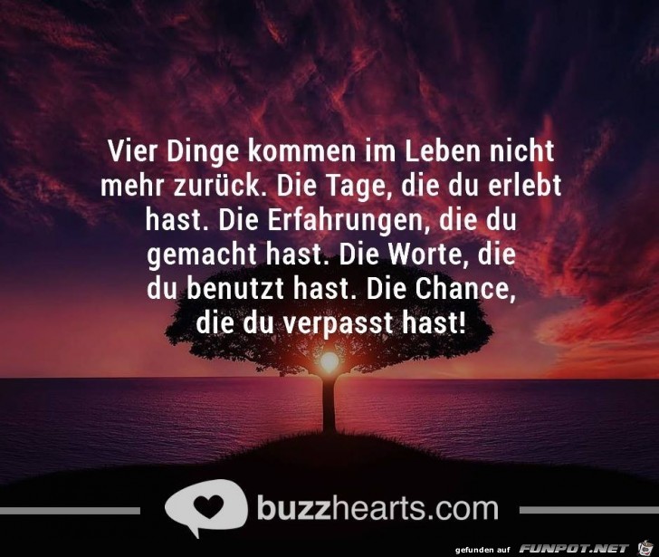 Vier Dinge Vier Dinge