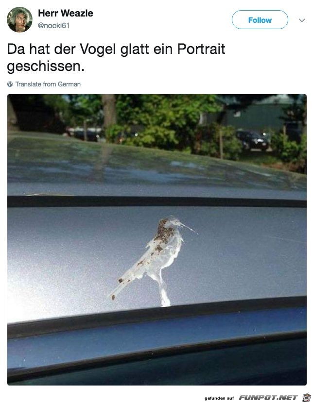 ein geschissenes Portrait ein geschissenes Portrait